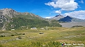 VBS_1 -  Plateau du Mont-Cenise, Grand Croix, Marmotte_-_0021 mt